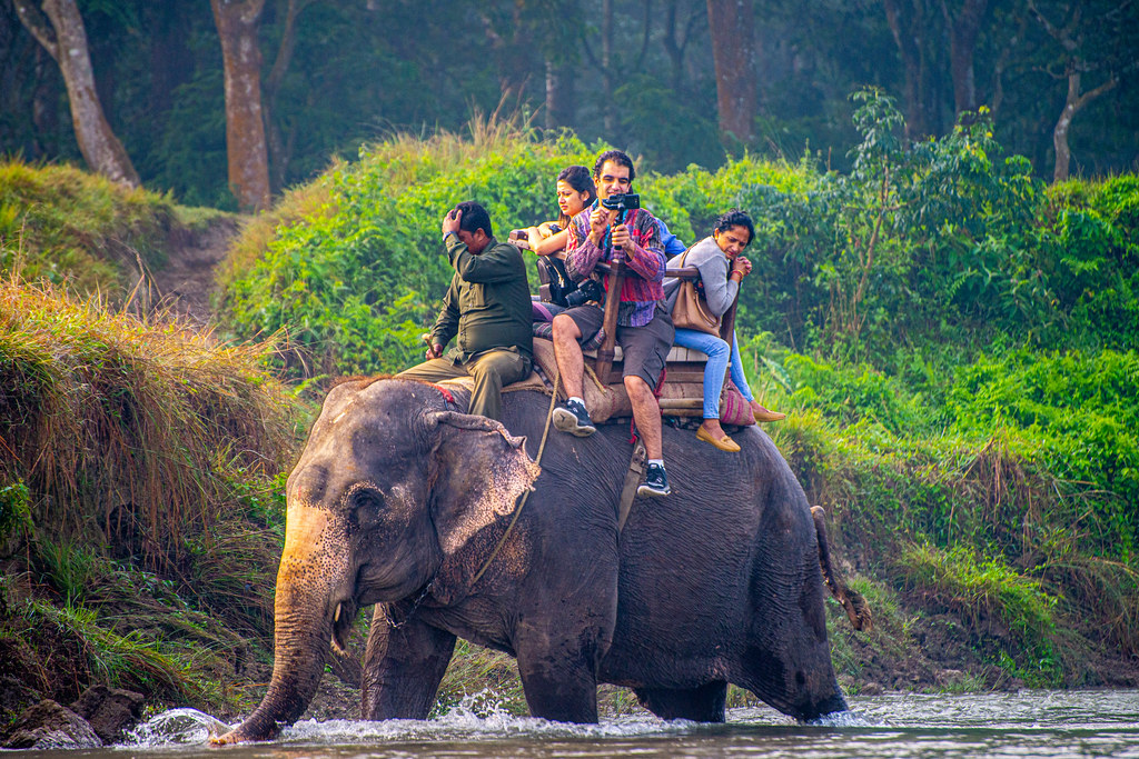 51915638594_4d1ee8d5ab_b